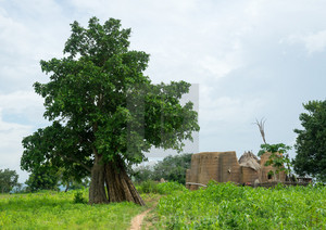  Boukoumbé, Benin
