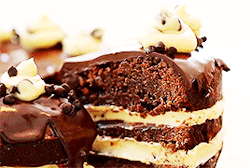  Brownie Layer Cake with Cookie Dough Frosting