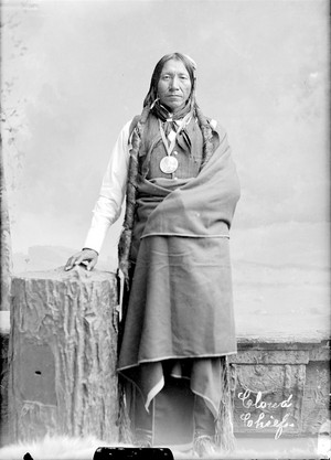  awan Chief (Cheyenne) Peace Medal - loceng - 1874