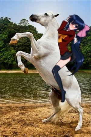  Himari Noihara with her Beautiful White Horse