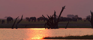 Kasane, Botswana