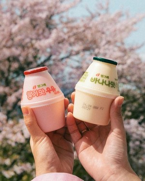 Korean Milk Drinks
