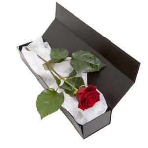  Long-Stem Rose In A Box