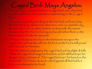  Meaning Of The Caged Bird