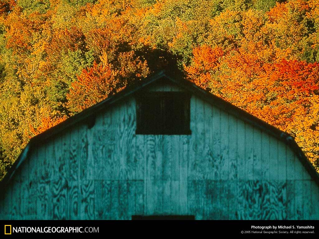 National Geographic - National Geographic Wallpaper (42809915) - Fanpop