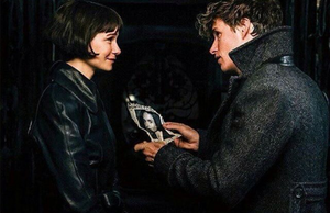  Newt/Tina - Fantastic Beasts And The Crimes Of Grindelwald