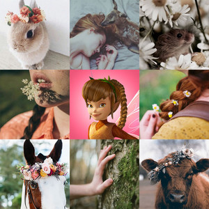  Pixie Moodboards