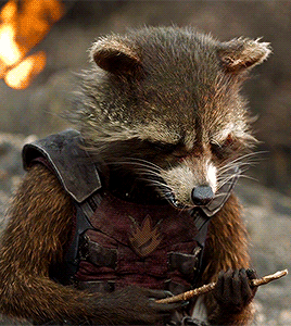  Rocket -Guardians of the Galaxy (2014)