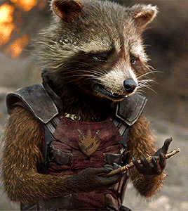  Rocket -Guardians of the Galaxy (2014)