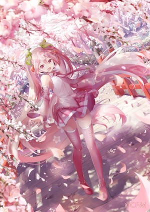  Sakura Miku
