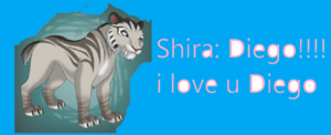  Shira loves Diego