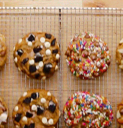  Stuffed Chocolate Chip cookies, biskut