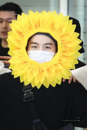 Sunflower Suga