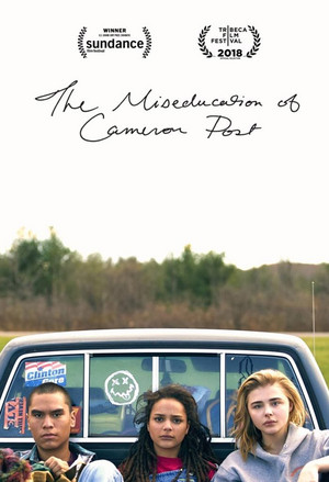  The Miseducation of Cameron Post (2018) Poster
