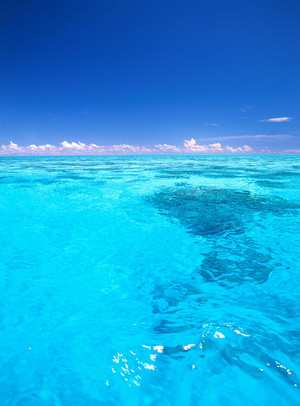  Tropical Clear Blue Water