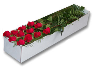 A Dozen Roses In A Box