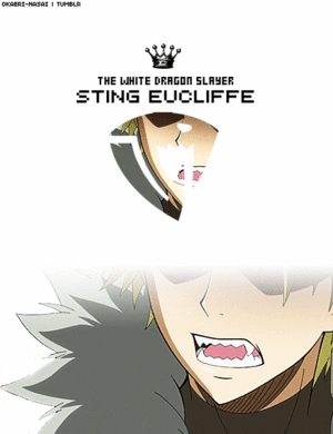  *Sting / Rogue : Fairy Tail*