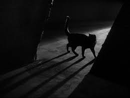  1934 Film, Black Cat