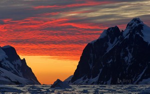  Antarctic Peninsula