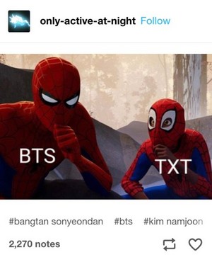 BTS and TXT