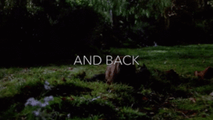  Buffy/Angel Gif - I Amore Him To Hell And Back