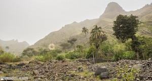  Coculi, Cape Verde