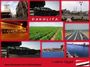  DAKHLIYA IN EGYPT