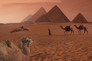  EGYPT cammello