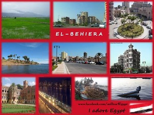  EL BEHIERA IN EGYPT