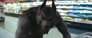  The Werewolf of Fever Swamp Goes Shopping