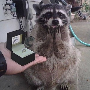  Proposal