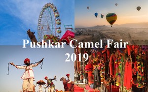  Pushkar 낙다, 낙 타 fair 2019
