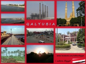  QALYUBIA IN EGYPT