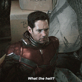  Scott Lang in Avengers: Endgame (2019)