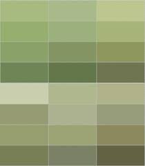 Shades Of Olive Green