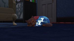  Sims 4 ネコ