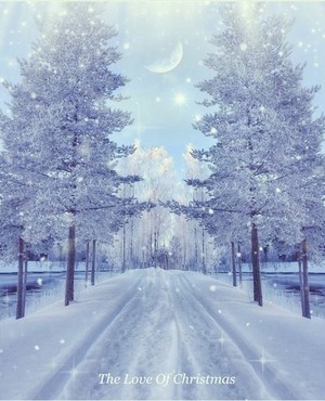  Snow landscapes❄️ ☃️
