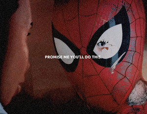  Spider-Man Into the Spider-Verse (2018)