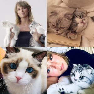 TAYLOR SWIFT CATS DAYS