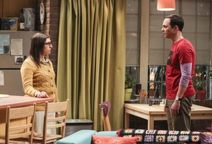  The Big Bang Theory ~ 11x15 "The Novelization Correlation"