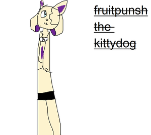  fruitpunsh the kittydog