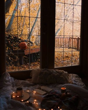Autumn Aesthetic 🍂🎃🍁