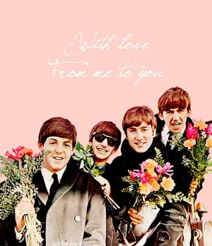  Beatles 💐