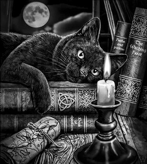  Black Pusa and witches