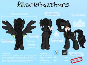  Blackfeathers-Specifications