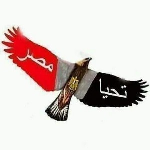  EGYPTIAN BIRDS FREEDOM AND PEACE