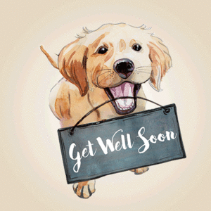  Get well soon Bat⭐🧡💜