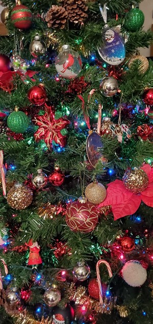  My Christmas arbre ❤️🎄🎅🏻💚