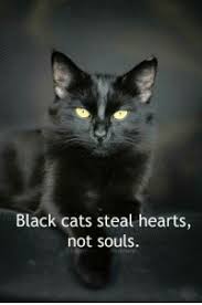  Quote Pertaining To Black Cats