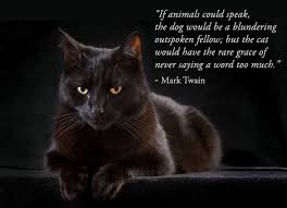  Quote Pertaining To Black Kucing
